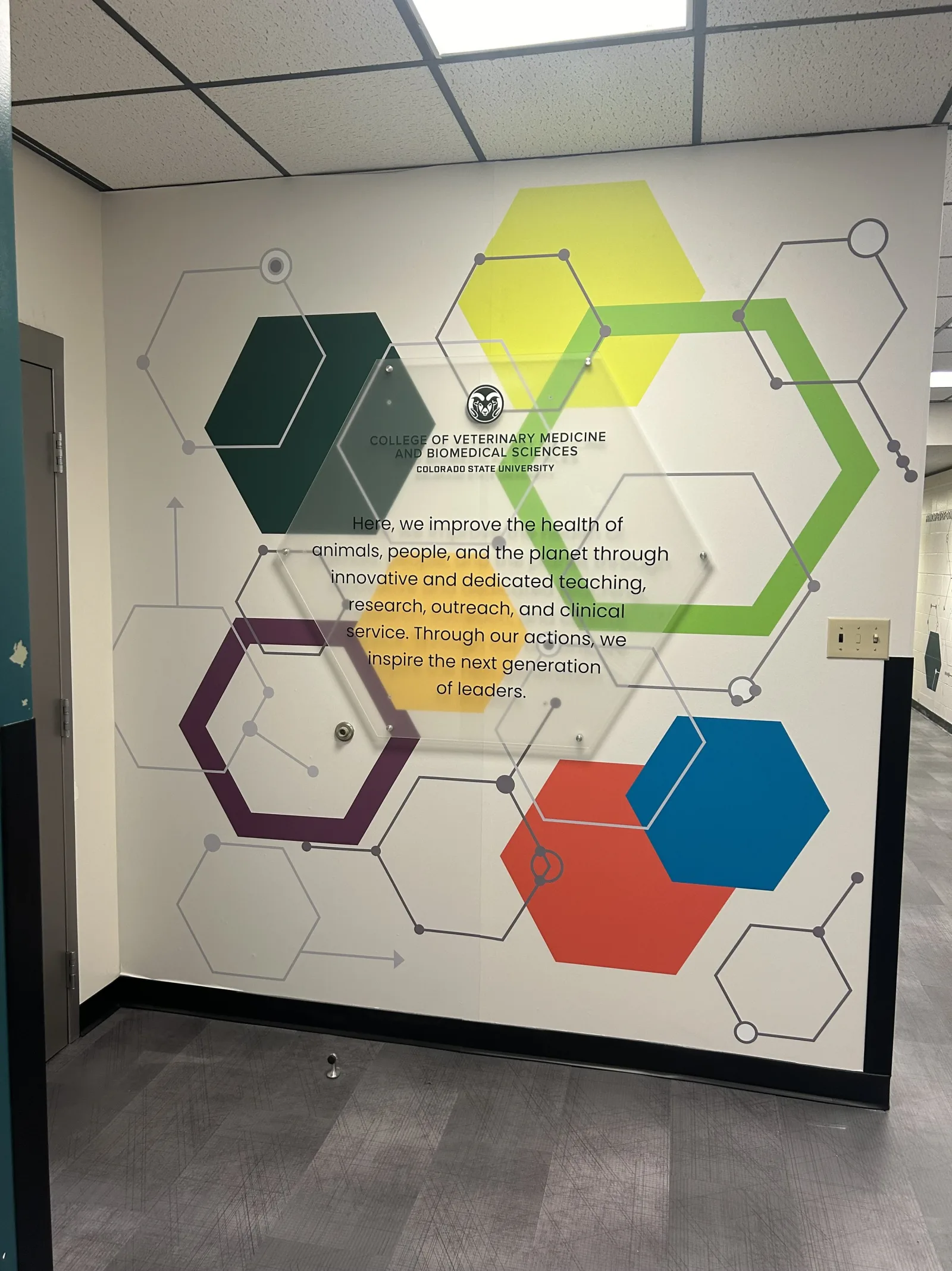 Large Format Printing and Custom Graphics